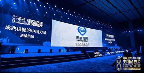 十年回首，中國光伏品牌的全球領導力之路